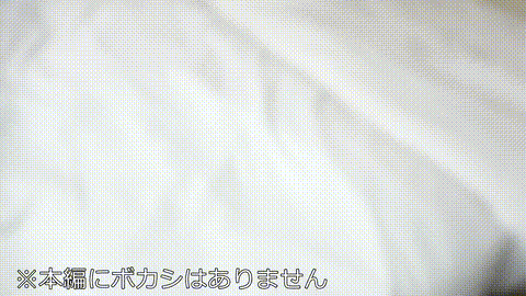 動画の約17%地点のGIFサンプル