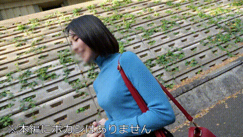 動画の約17%地点のGIFサンプル