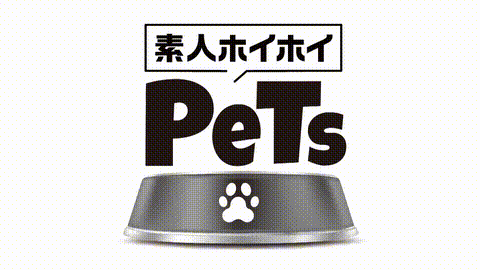 動画の約17%地点のGIFサンプル