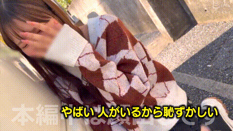 動画の約33%地点のGIFサンプル