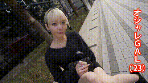 動画の約17%地点のGIFサンプル