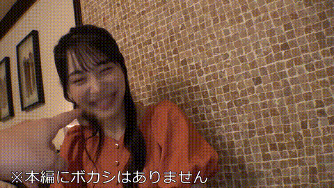 動画の約17%地点のGIFサンプル