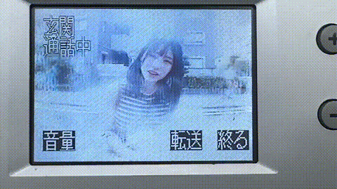 動画の約17%地点のGIFサンプル