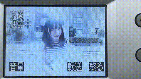 動画の約33%地点のGIFサンプル