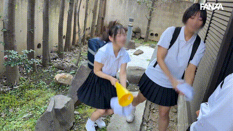 動画の約50%地点のGIFサンプル