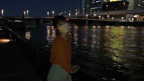 動画の約67%地点のGIFサンプル