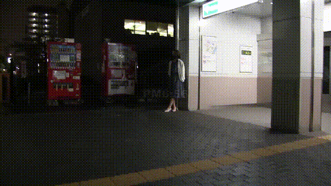 動画の約17%地点のGIFサンプル