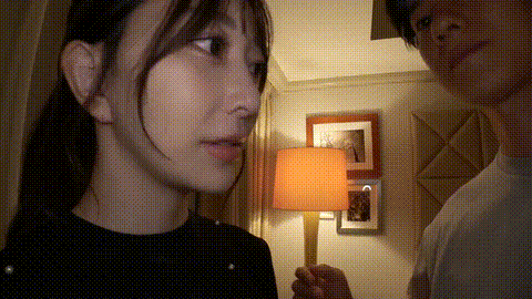 動画の約50%地点のGIFサンプル