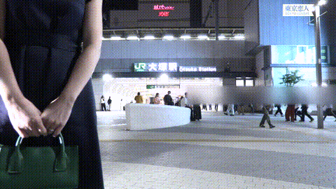動画の約17%地点のGIFサンプル