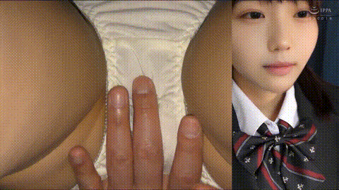 動画の約33%地点のGIFサンプル