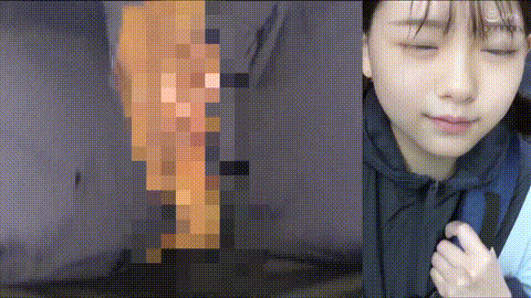 動画の約50%地点のGIFサンプル